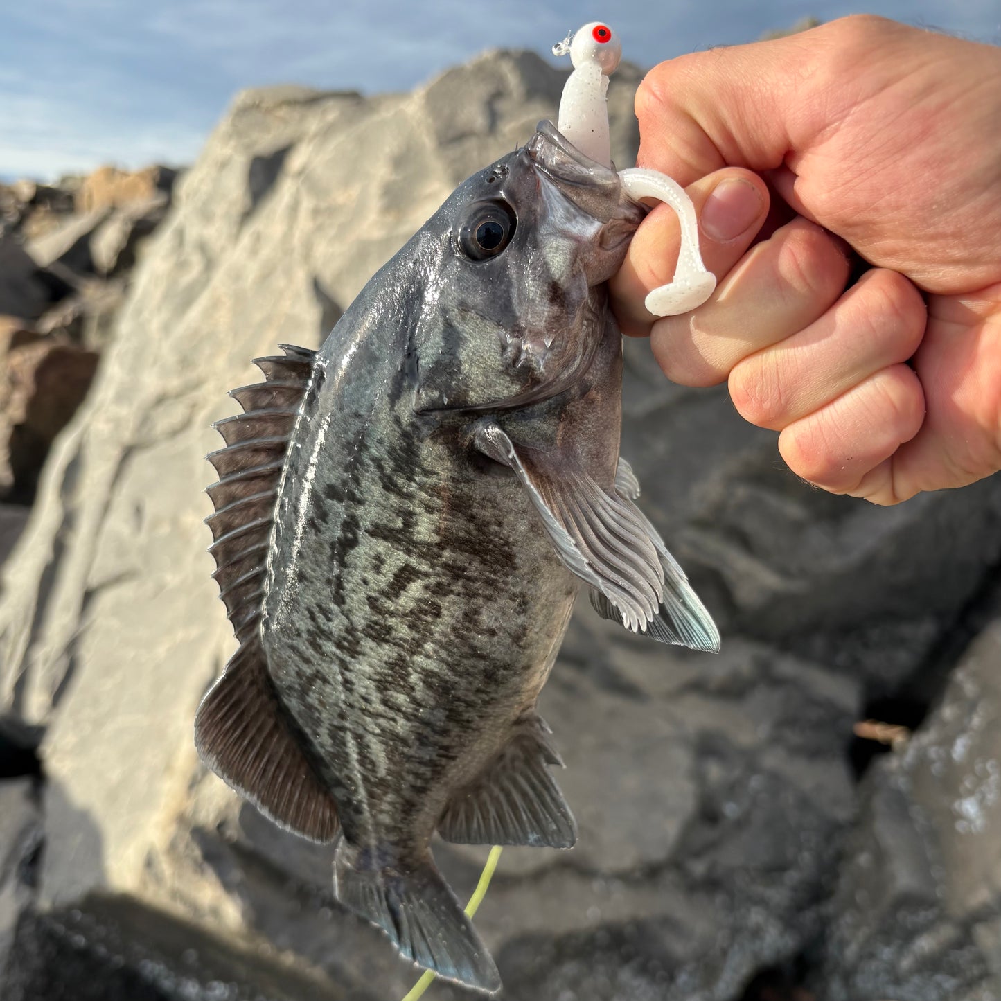 3.5" Paddle Tail Swimbaits
