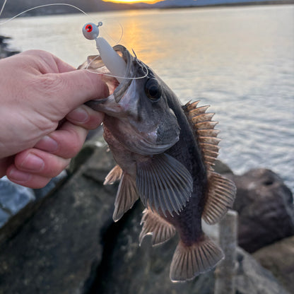3.5" Paddle Tail Swimbaits