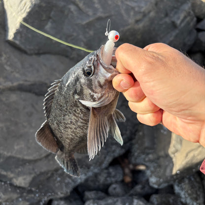 3.5" Paddle Tail Swimbaits